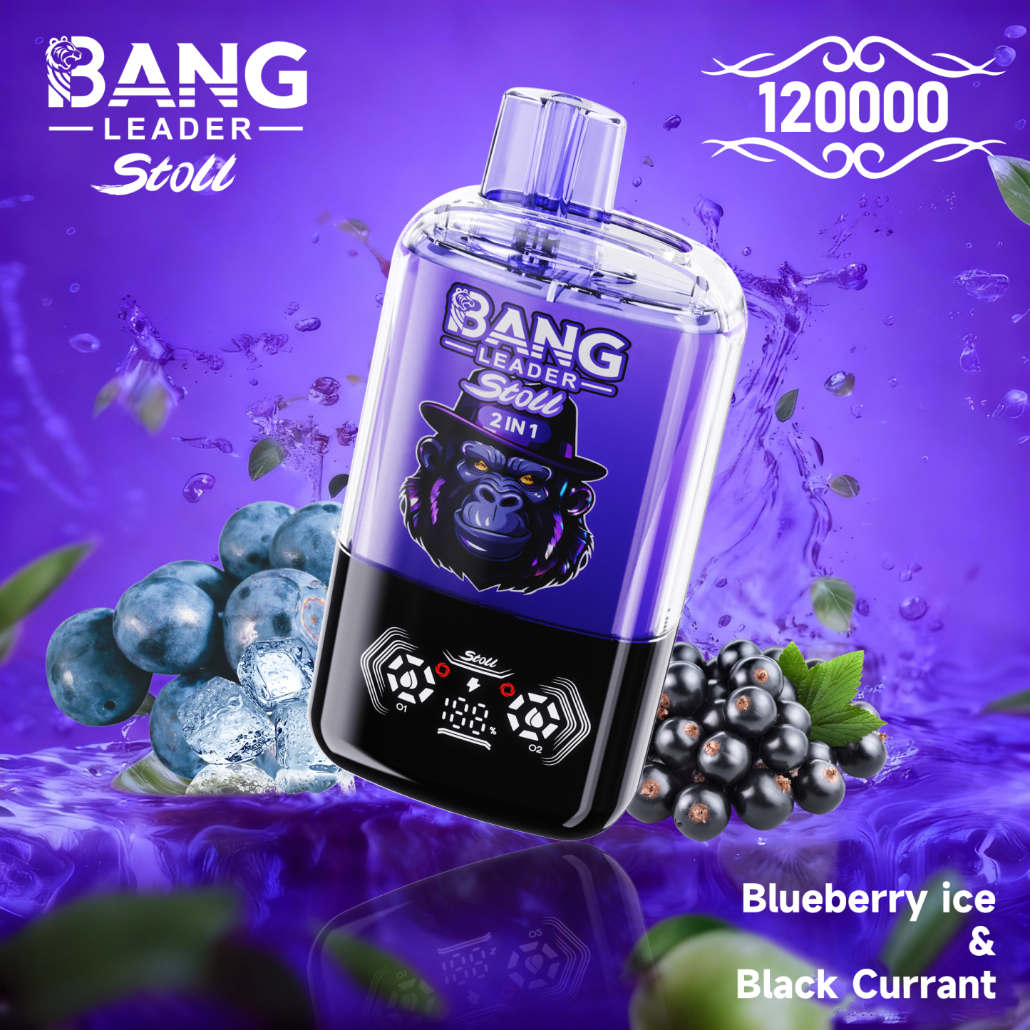 BANG LEADER STOLL 12万