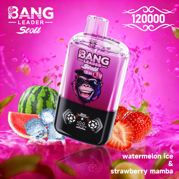 BANG LEADER STOLL 12万