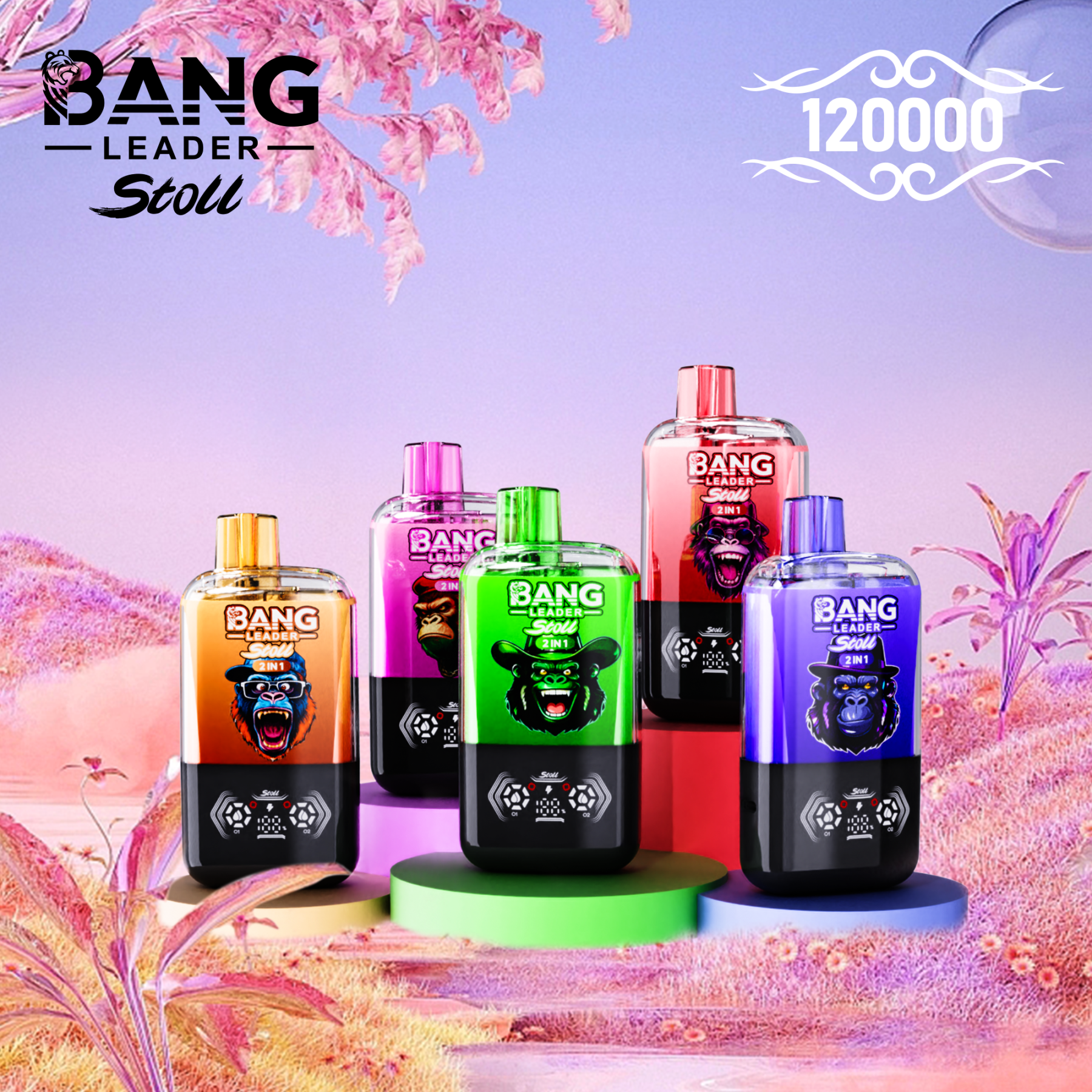 BANG LEADER STOLL 12万