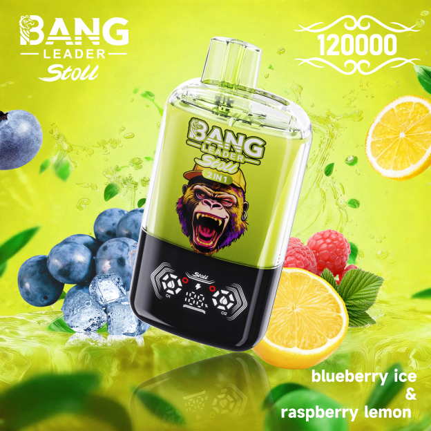 BANG LEADER STOLL 12万