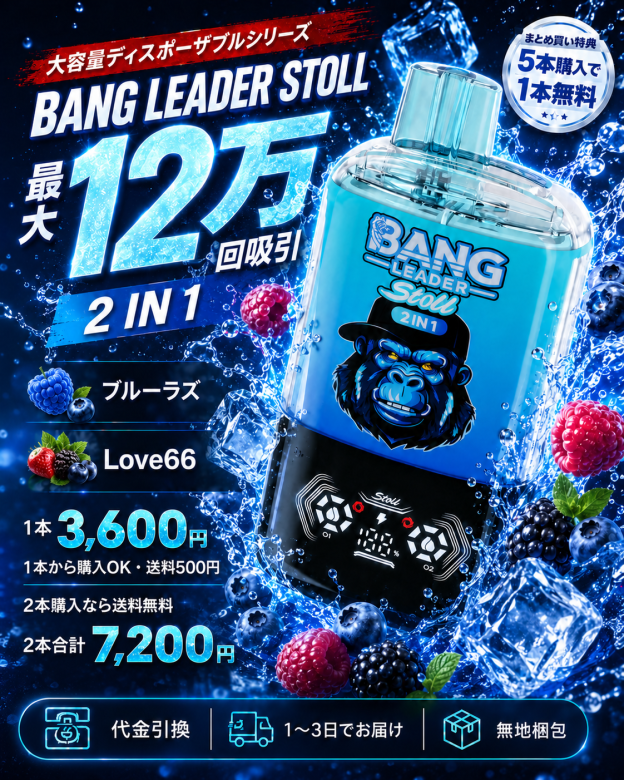 BANG LEADER STOLL 12万