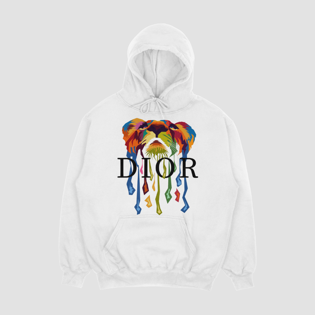 Dior 秋のスウェット パーカー
