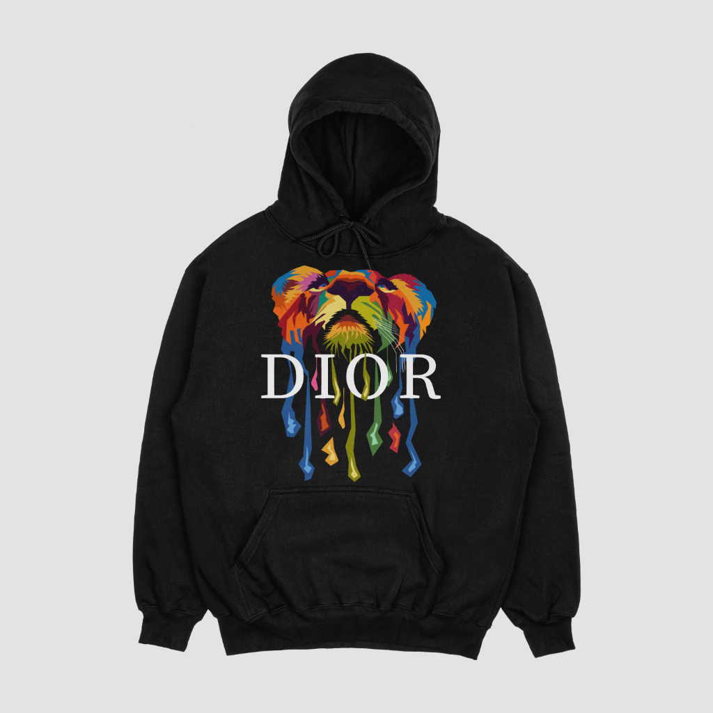 Dior 秋のスウェット パーカー