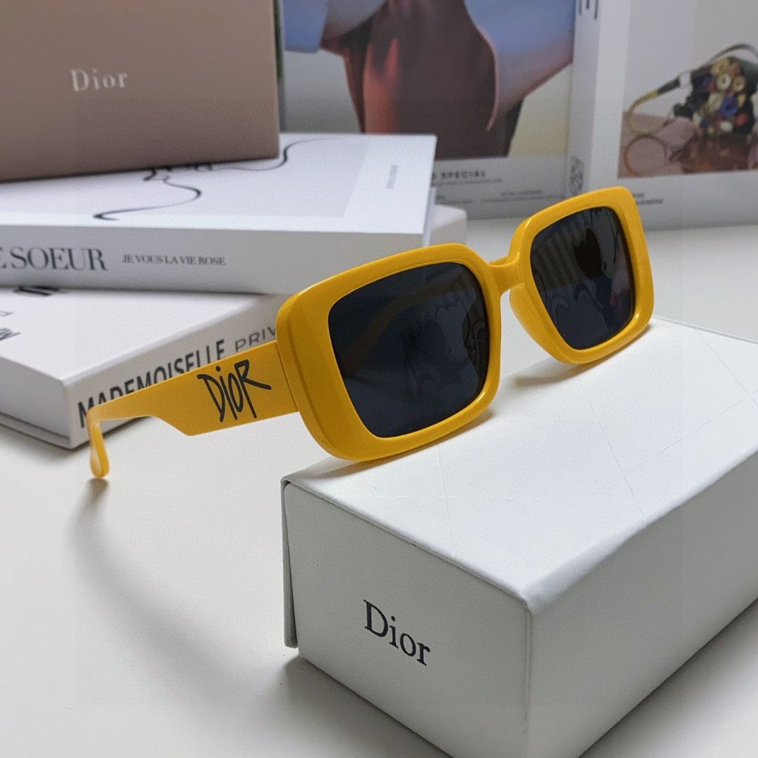 2024 Dior Sunglass · ディオール サングラス