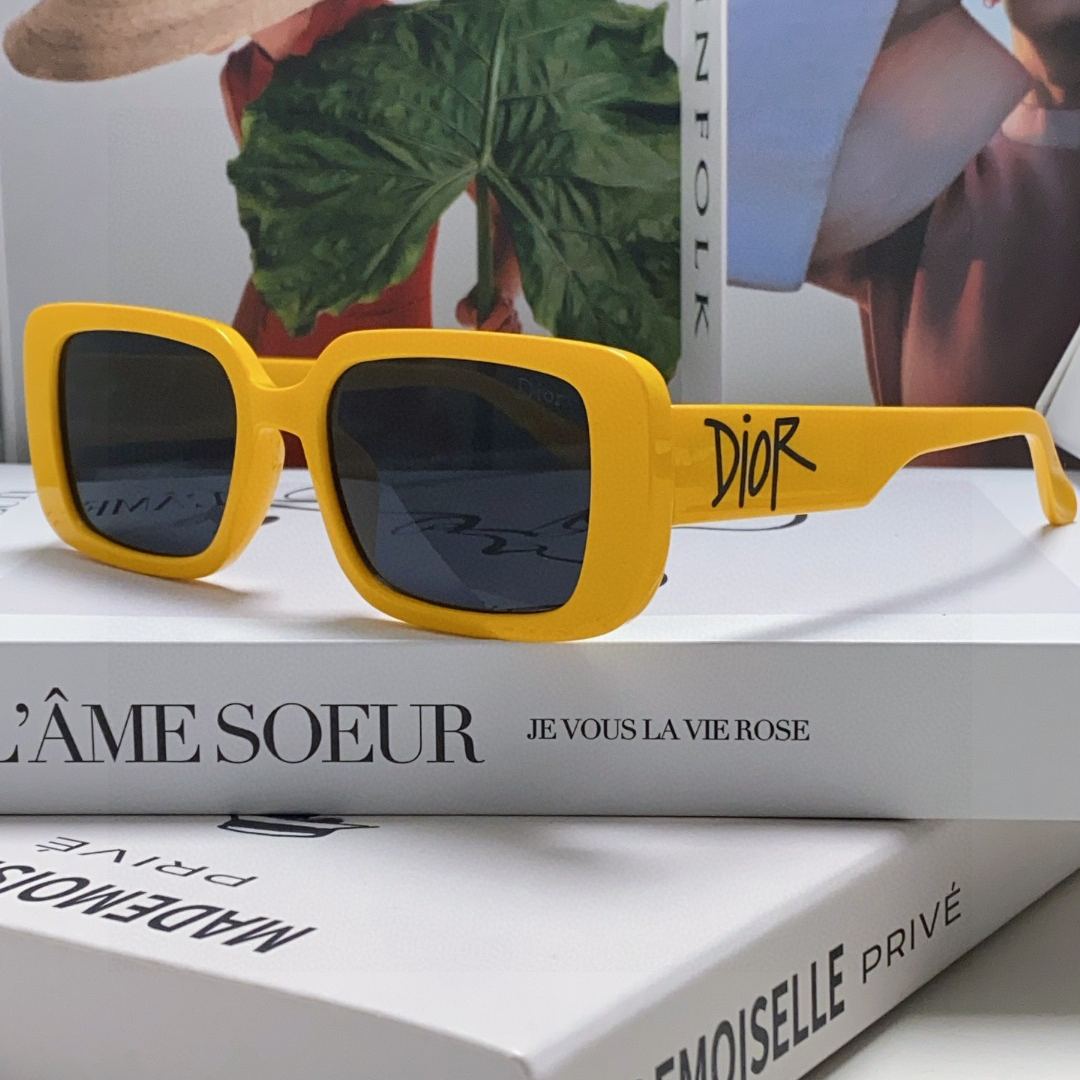 2024 Dior Sunglass · ディオール サングラス