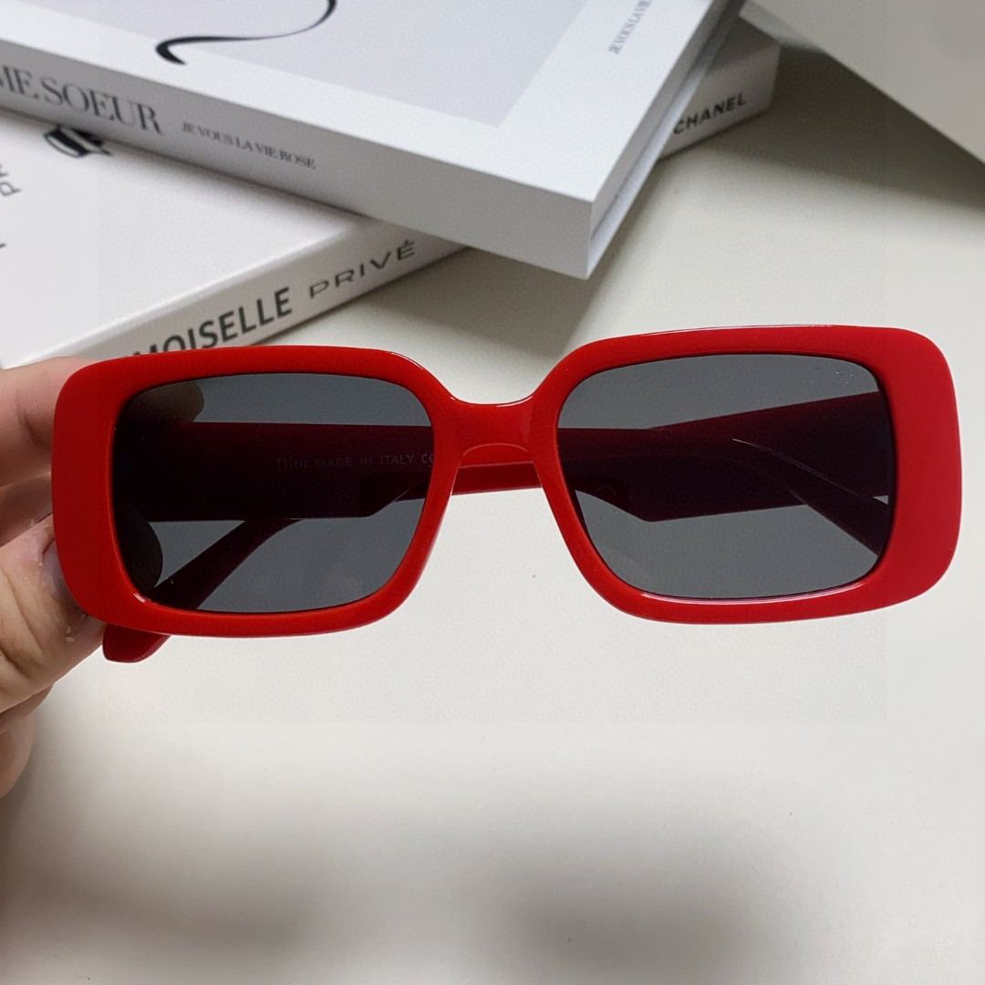 2024 Dior Sunglass · ディオール サングラス