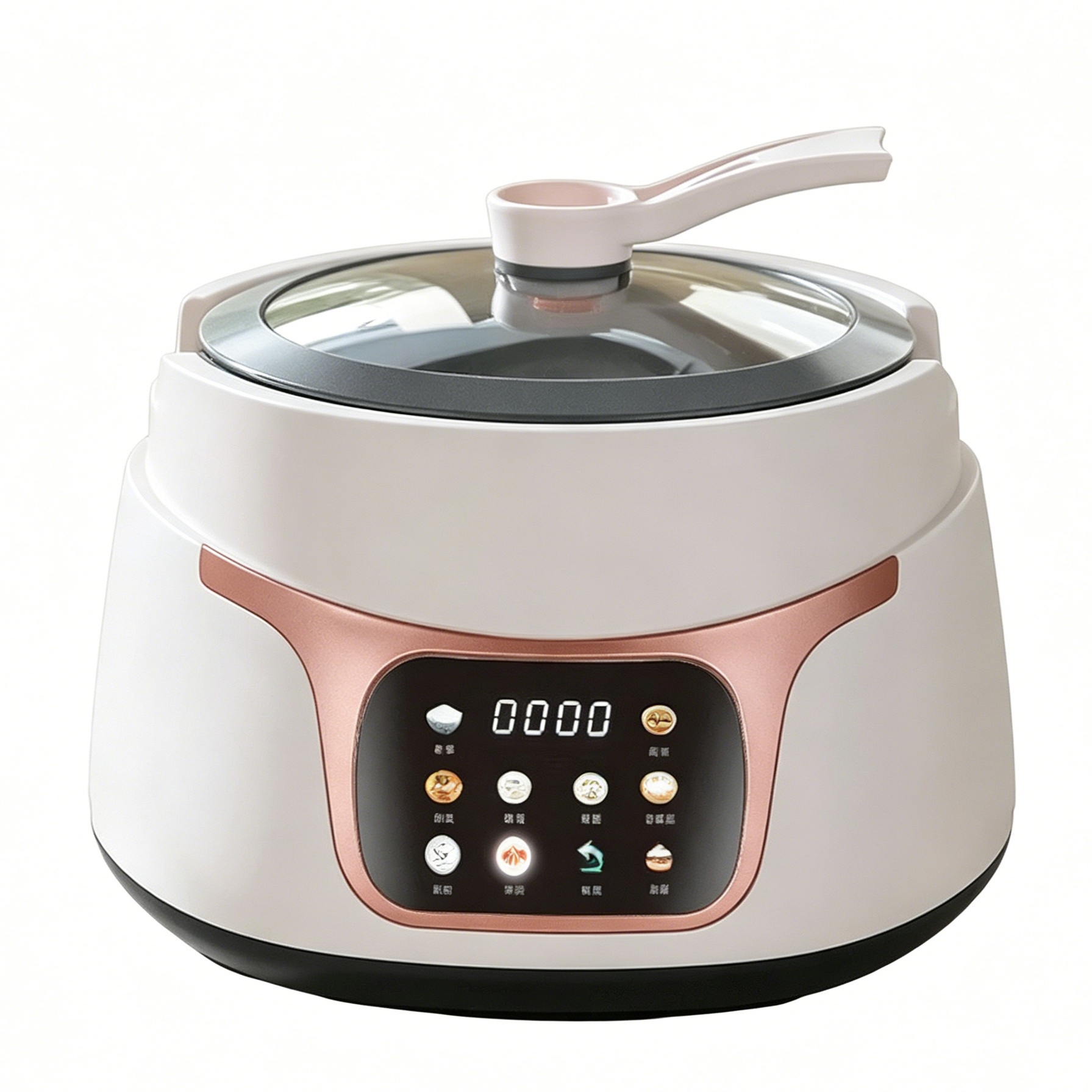 Rice Cooker Model F 电饭煲型号F