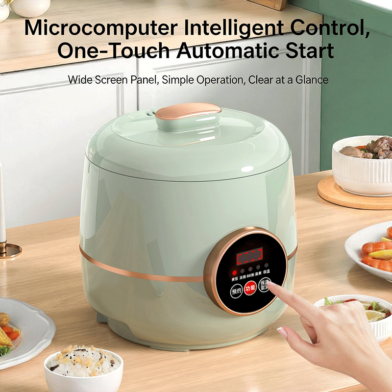 Rice cooker model G