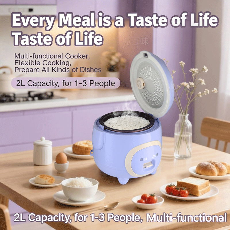 Mini Rice Cooker