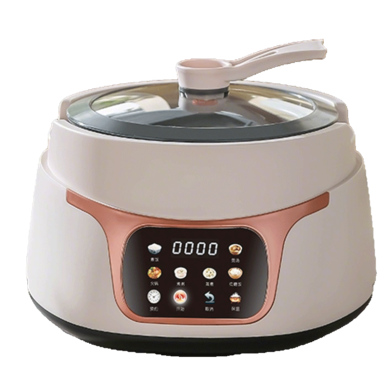 Rice Cooker Model F