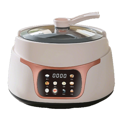 Rice Cooker Model F