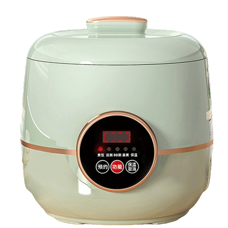 Rice cooker model G