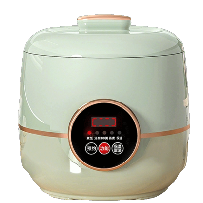 Rice cooker model G