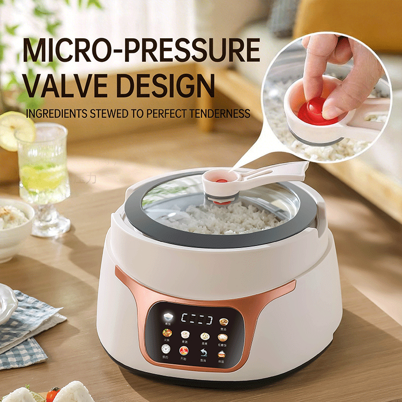 Rice Cooker Model F