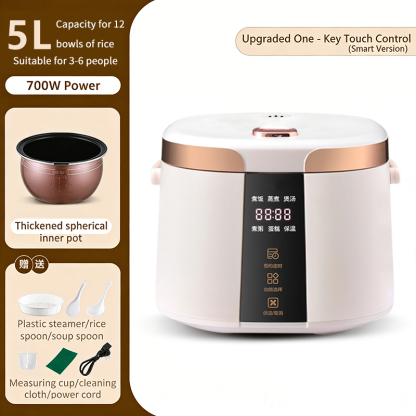 Smart Rice Cooker Model C