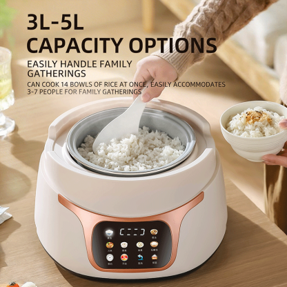 Rice Cooker Model F