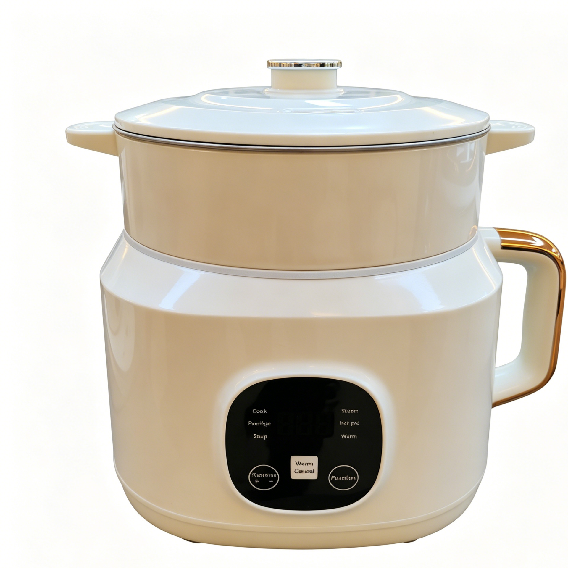 3L Digital Electric Cooking Pot