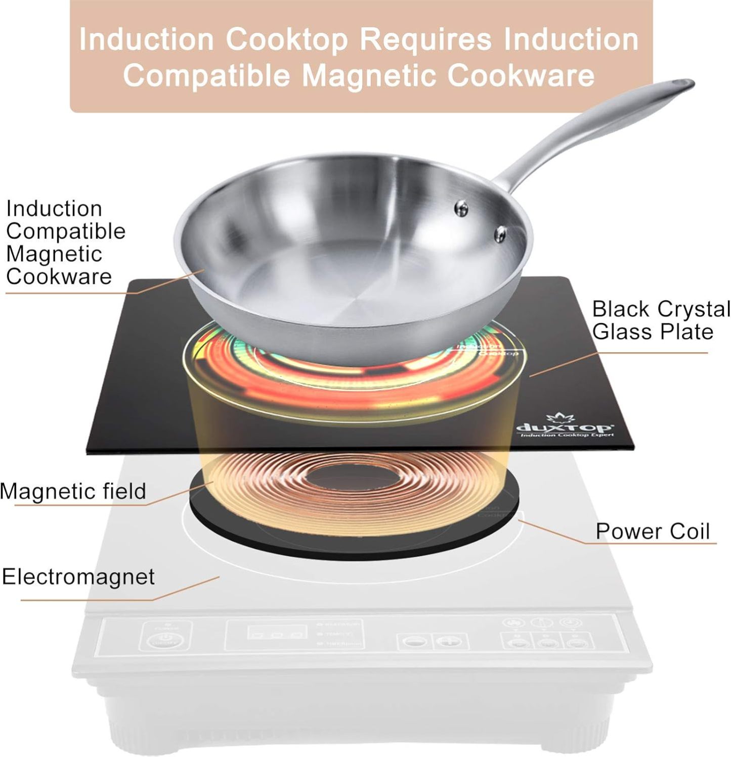 Duxtop 1800W Portable Induction Cooktop, Gold 8100MC/BT-180G3