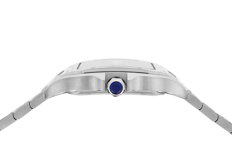 Cartier カルティエサンダーズシリーズWSSA0009(ビッグサイズ)腕時計です