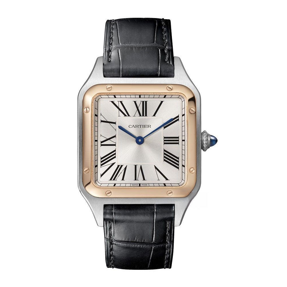 Cartier  カルティエサンダーズシリーズW2SA0011(ビッグサイズ)腕時計です
