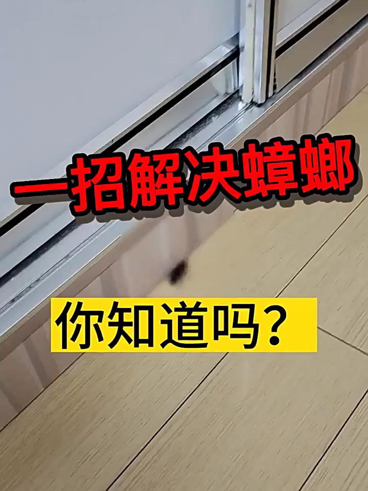 가정용 바퀴벌레약 강력 원킬 살충제 업소용 식당 주방 성충 알 완벽 퇴치 분말형 전문가용