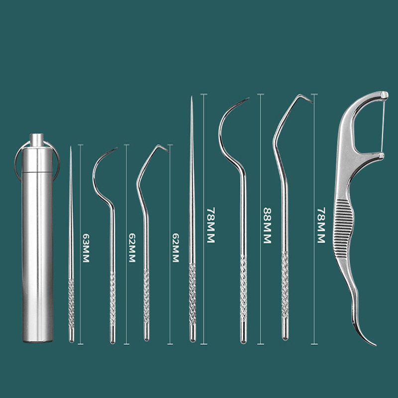 스테인리스 이쑤시개 휴대용 미니 치아 관리 세트 구강 청소 치실 후크 악세사리