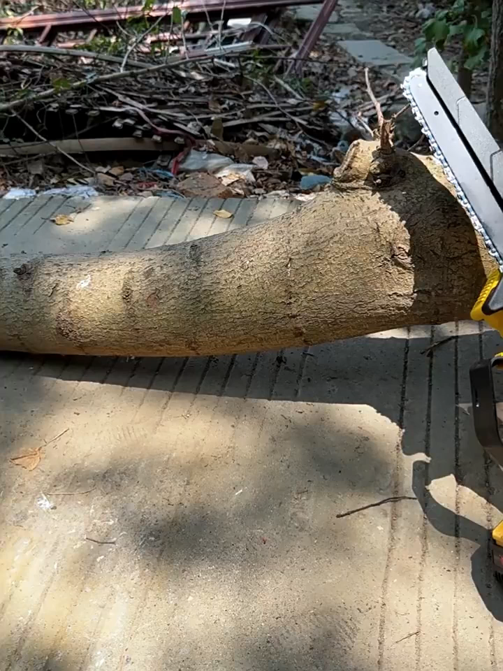 가정용 충전식 전기톱 소형 핸디형 리튬배터리 대용량 무선 체인톱 나무 절단 벌목 공구