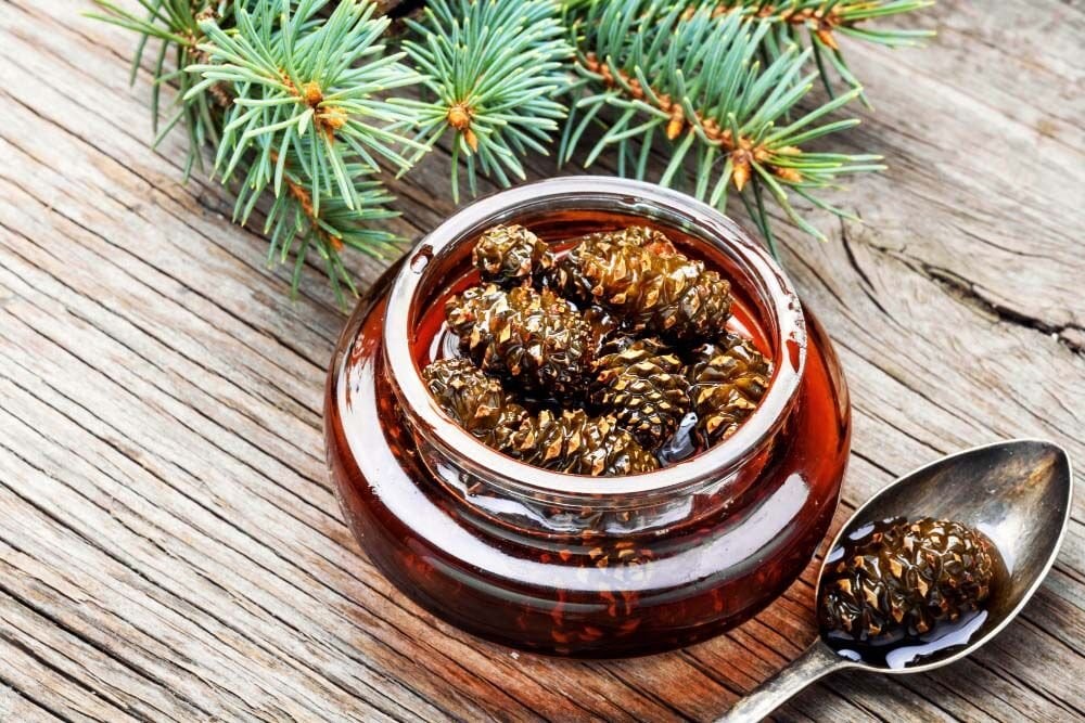 Çam Kozalak Şurubu Nedir? Faydaları Nelerdir ve Nasıl Kullanılır?