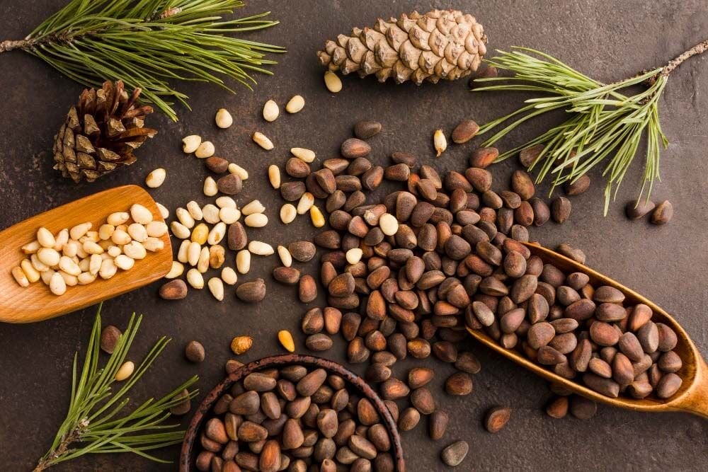 &Ccedil;am Fıstığı Nedir? Faydaları Nelerdir?