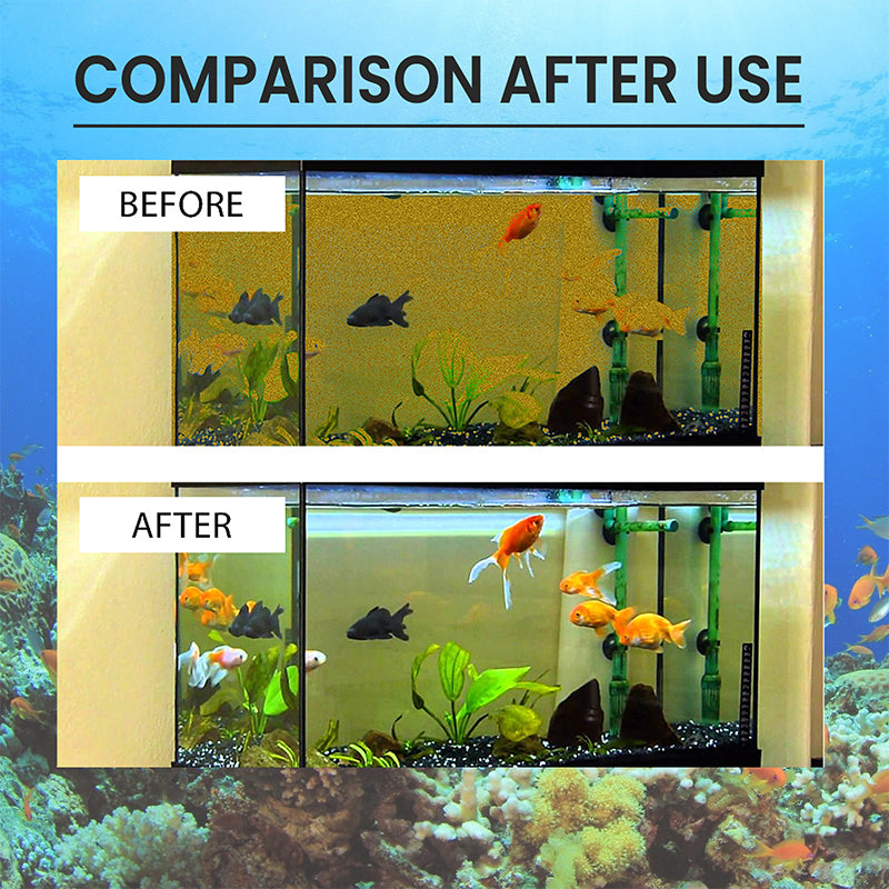 Crystal Clear Aquarium Water