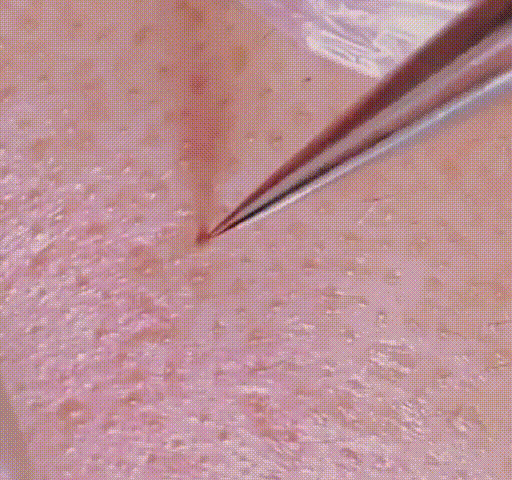 1630907681713722.gif