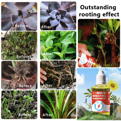 Plant Vitality Boosting Nutrient Solution