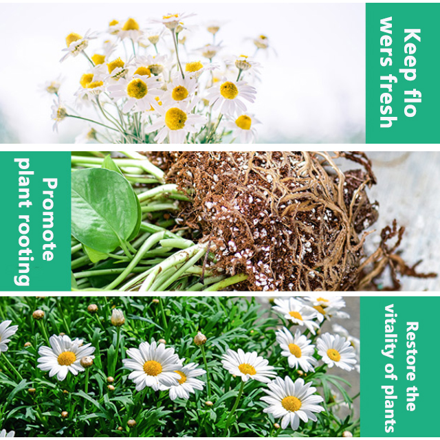 Plant Vitality Boosting Nutrient Solution