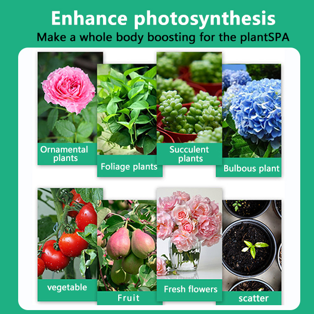 Plant Vitality Boosting Nutrient Solution