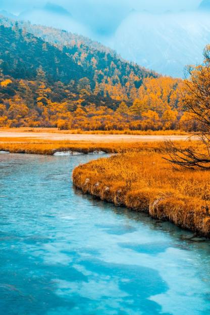 Large breasts show small thin sports bra