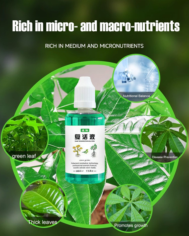  Plant Revival Elixir