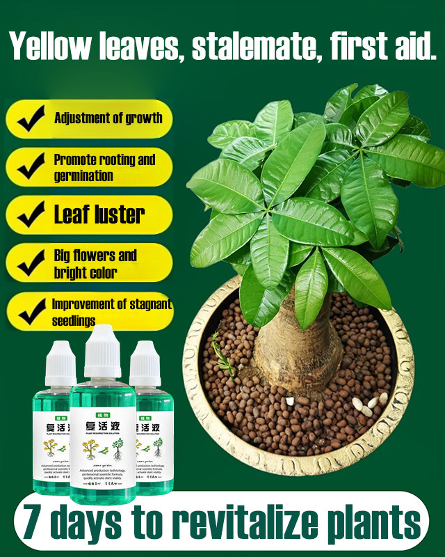  Plant Revival Elixir