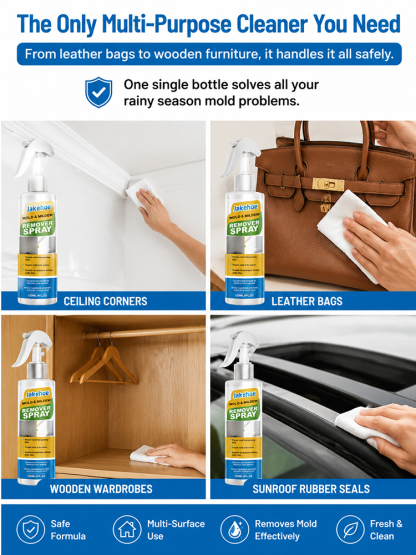 【Dual-use for car and home】Universal cleaning spray