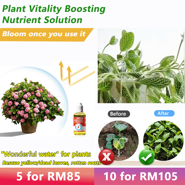 Plant Vitality Boosting Nutrient Solution