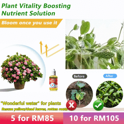 Plant Vitality Boosting Nutrient Solution