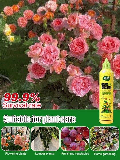 One Drop Revives: Concentrated Powerful Green Plant Activator