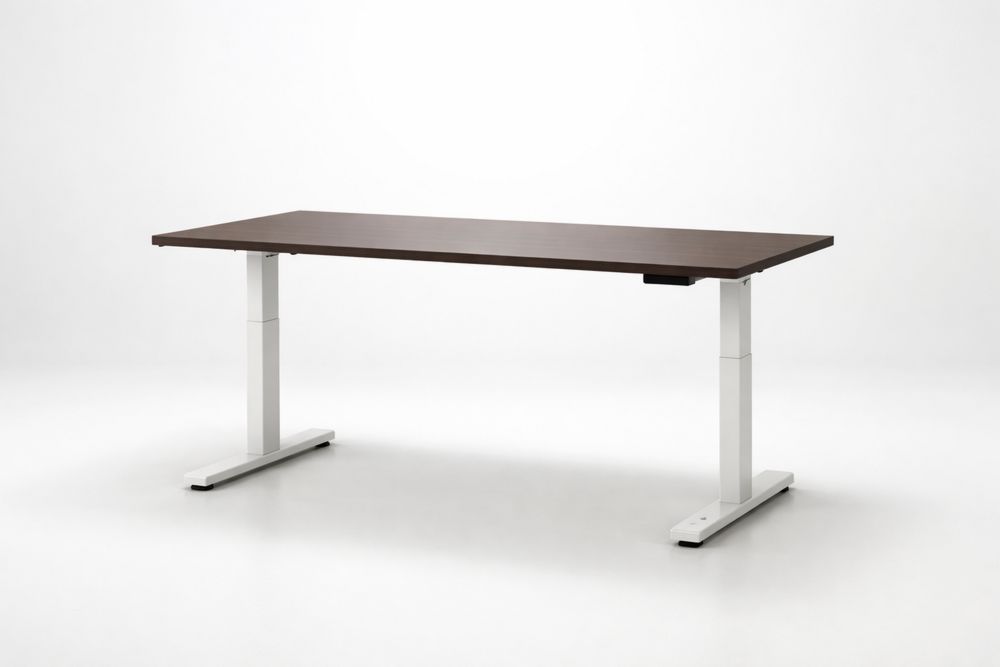 Adjustable Height Sit-Stand Office Desk with Walnut Wood Surface, White Steel Frame 120cm x 60cm(L × W)