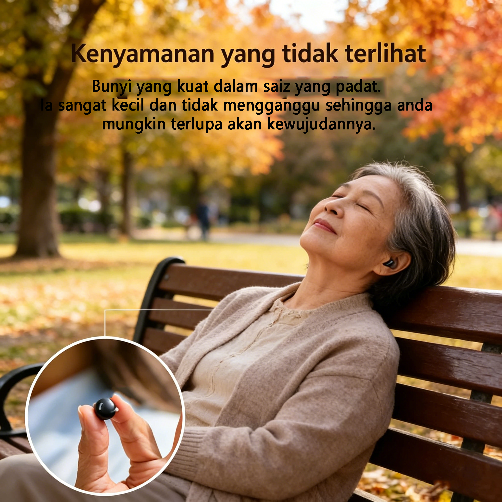 Penguat Bunyi Profesional — Alat Bantu Pendengaran Digital Dalam Telinga Ultra-Kompak dengan Teknologi Cip Nano (Reka Bentuk Senyap)