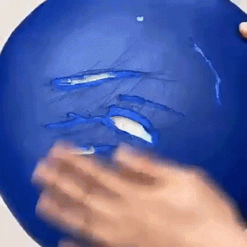20231016_112646_029.gif