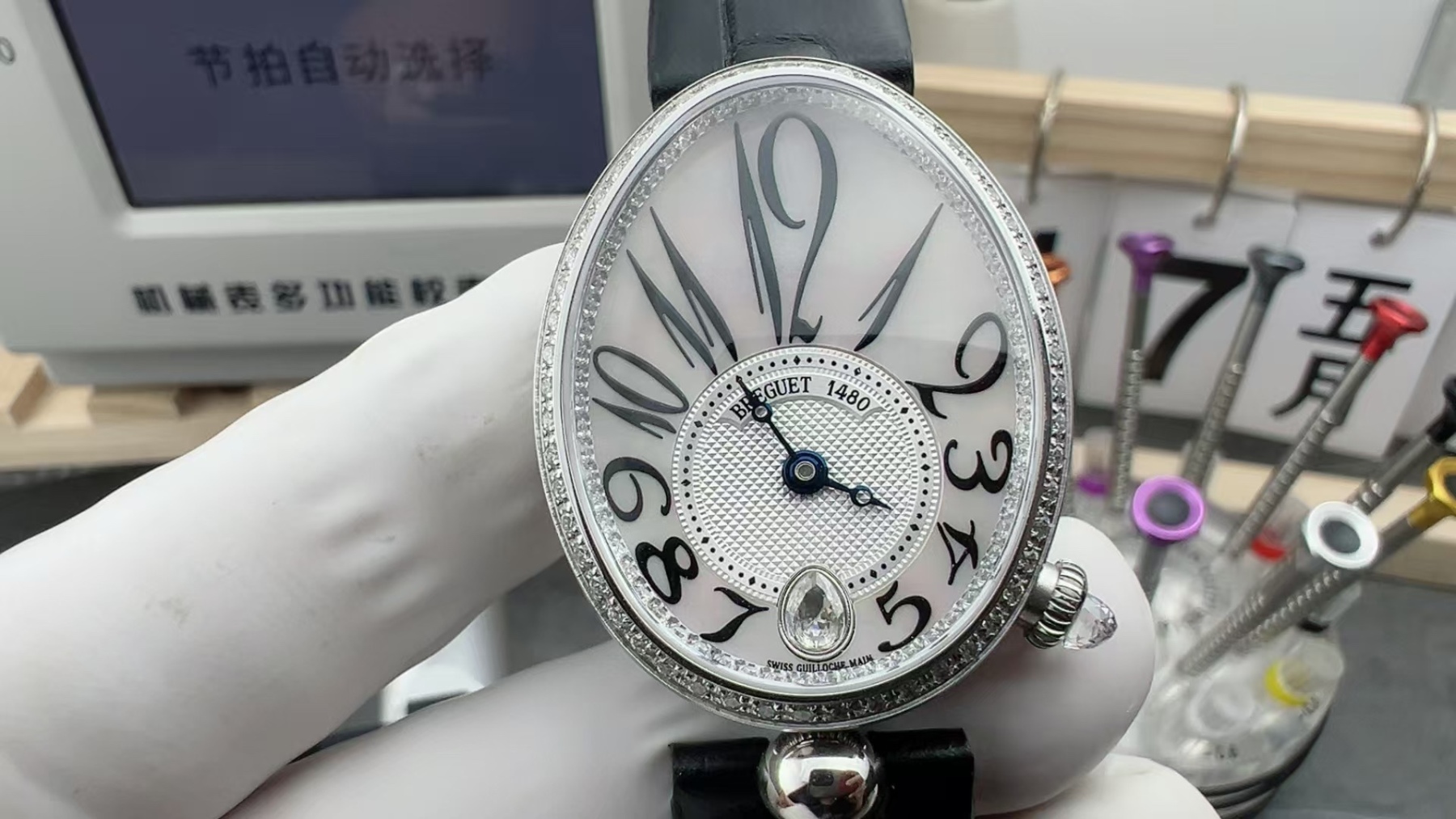 top那不勒斯皇后 鳄鱼皮表带