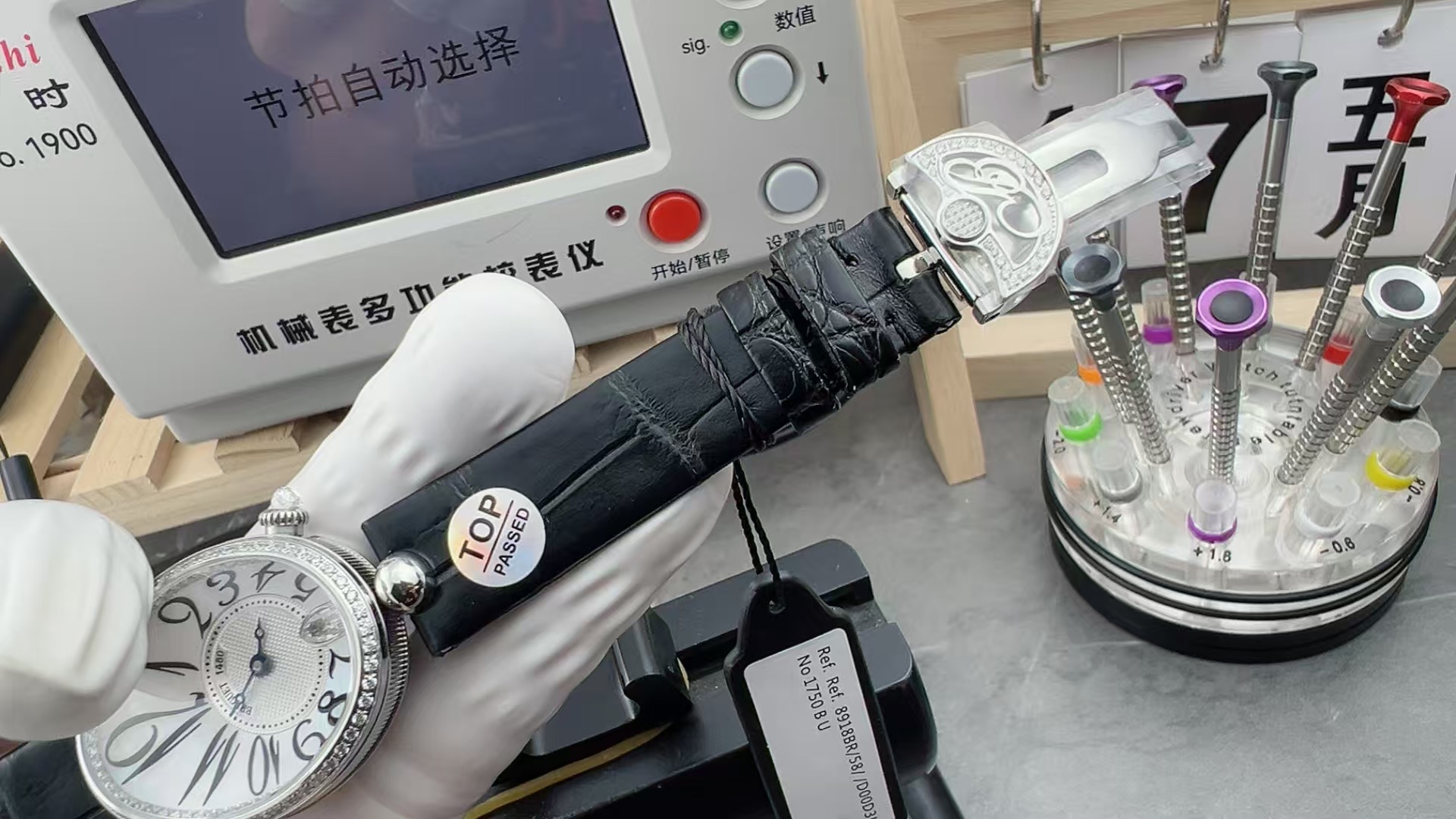 top那不勒斯皇后 鳄鱼皮表带