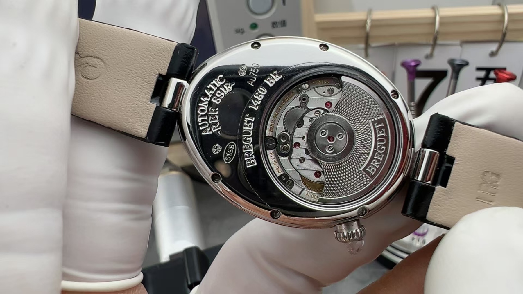 top那不勒斯皇后 鳄鱼皮表带