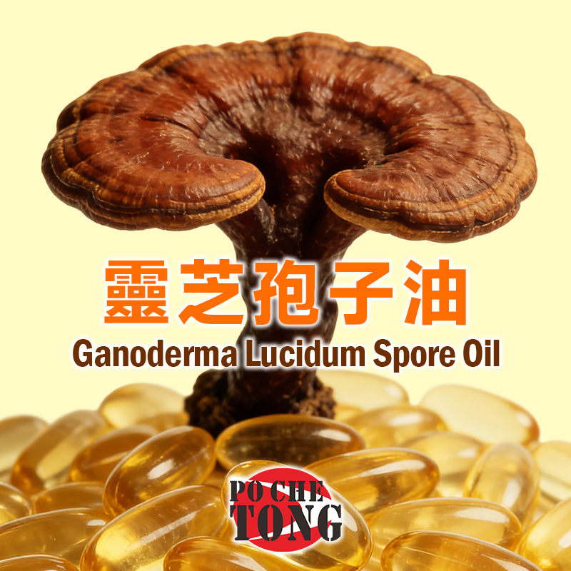 【C01】保滋堂破壁靈芝孢子油術後恢復增強免疫改善睡眠60粒/瓶