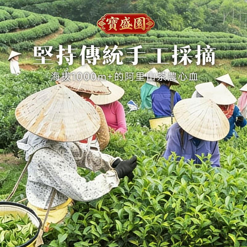 台灣阿里山雲霧茶有機高山茶