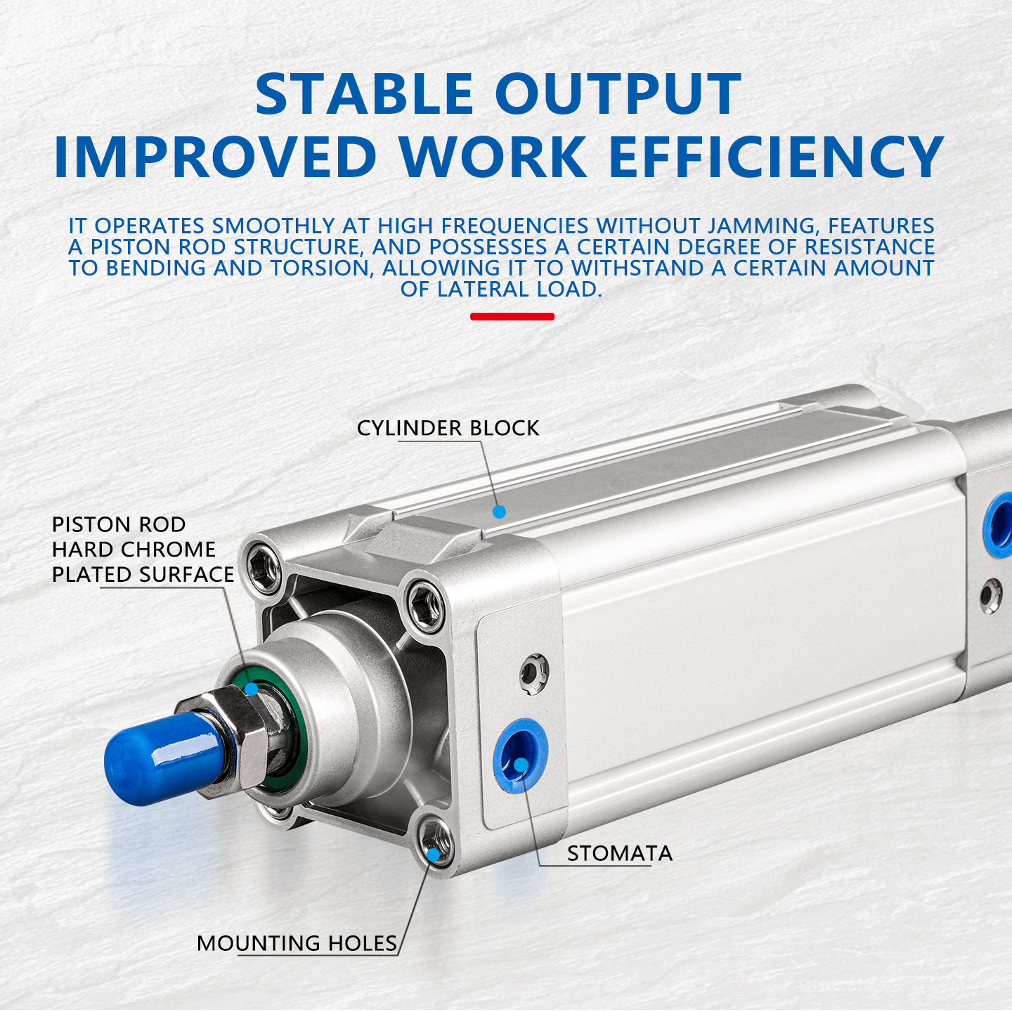 SE Double Acting Standard Air Cylinder